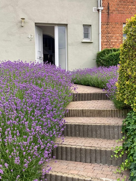 Foto 2 van een woning in Diest Schaffen