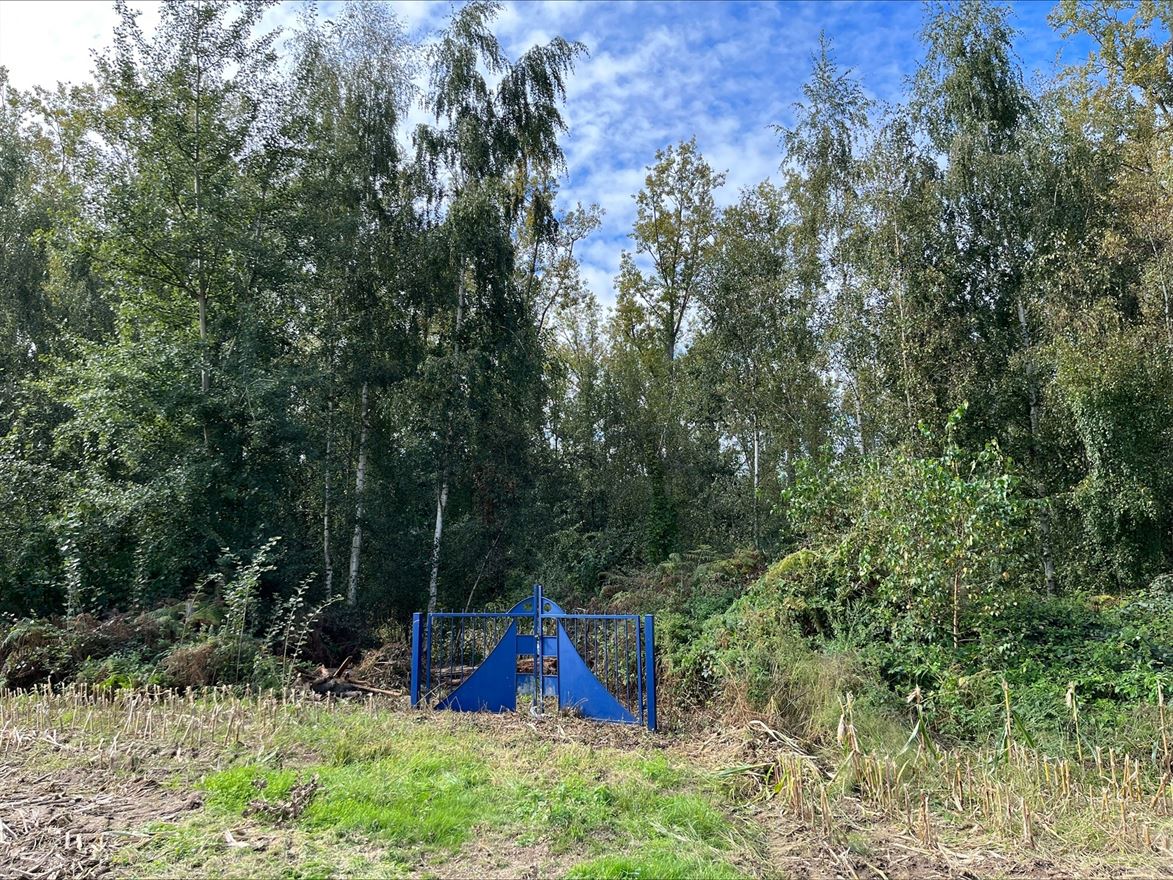Foto 2 van een woning in ZANDHOVEN