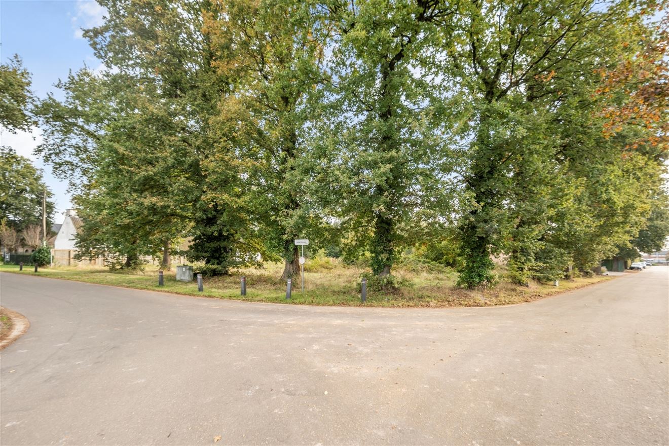 Foto 2 van een woning in Zonhoven