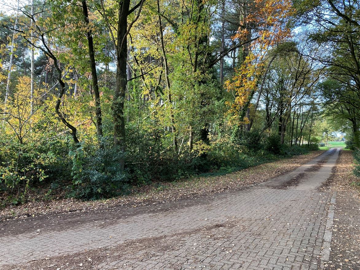 Foto 4 van een woning in GIERLE