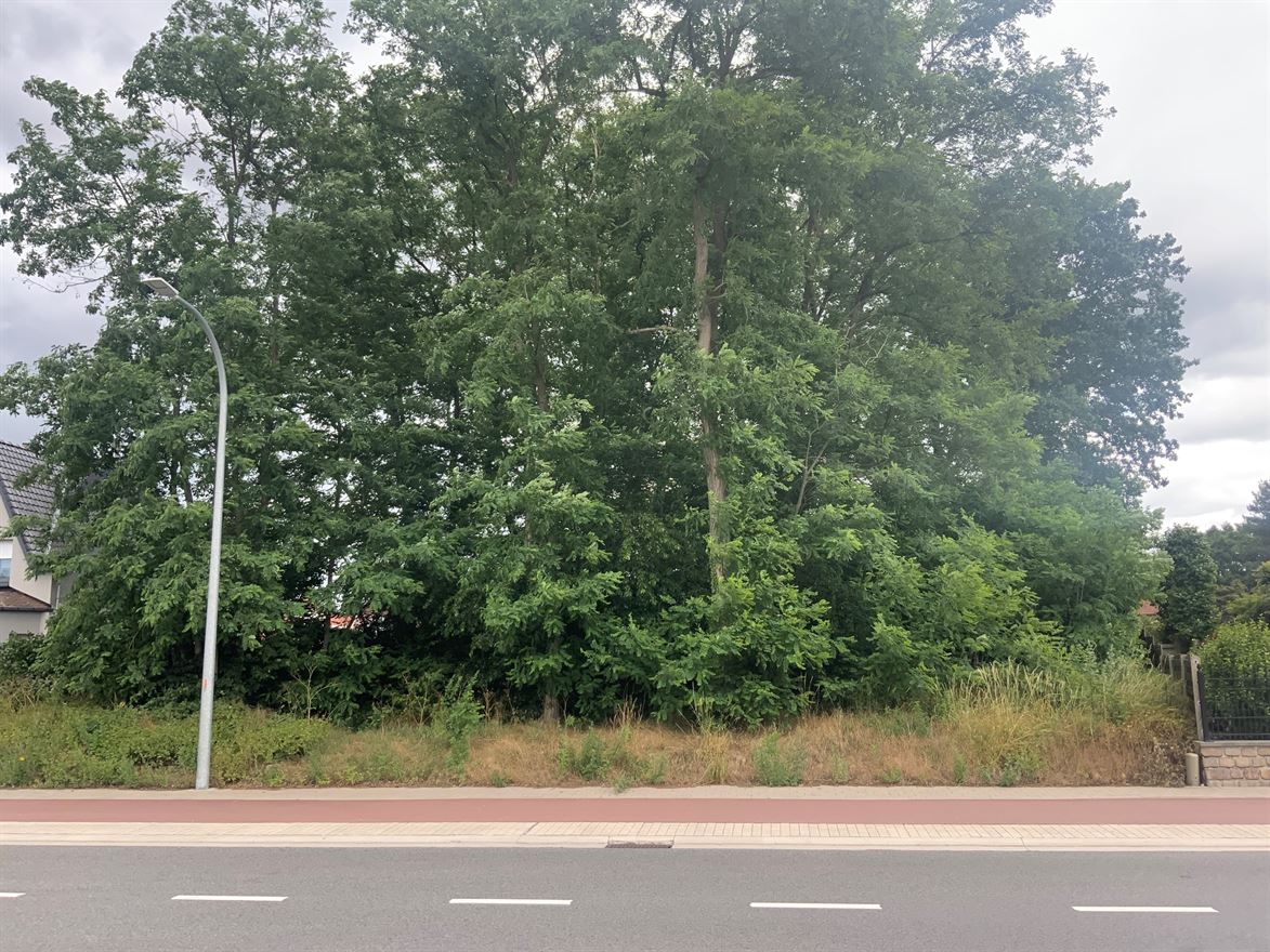 Foto 3 van een woning in Herentals