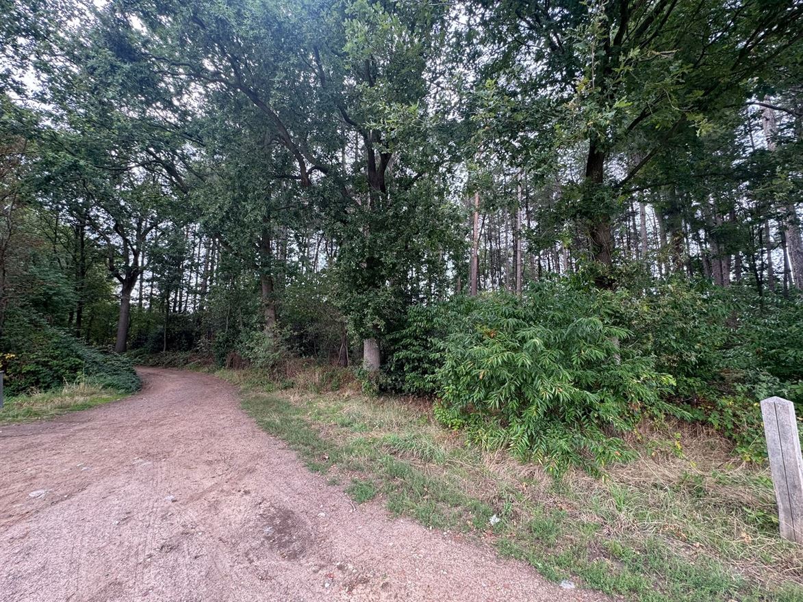 Foto 2 van een woning in Lille