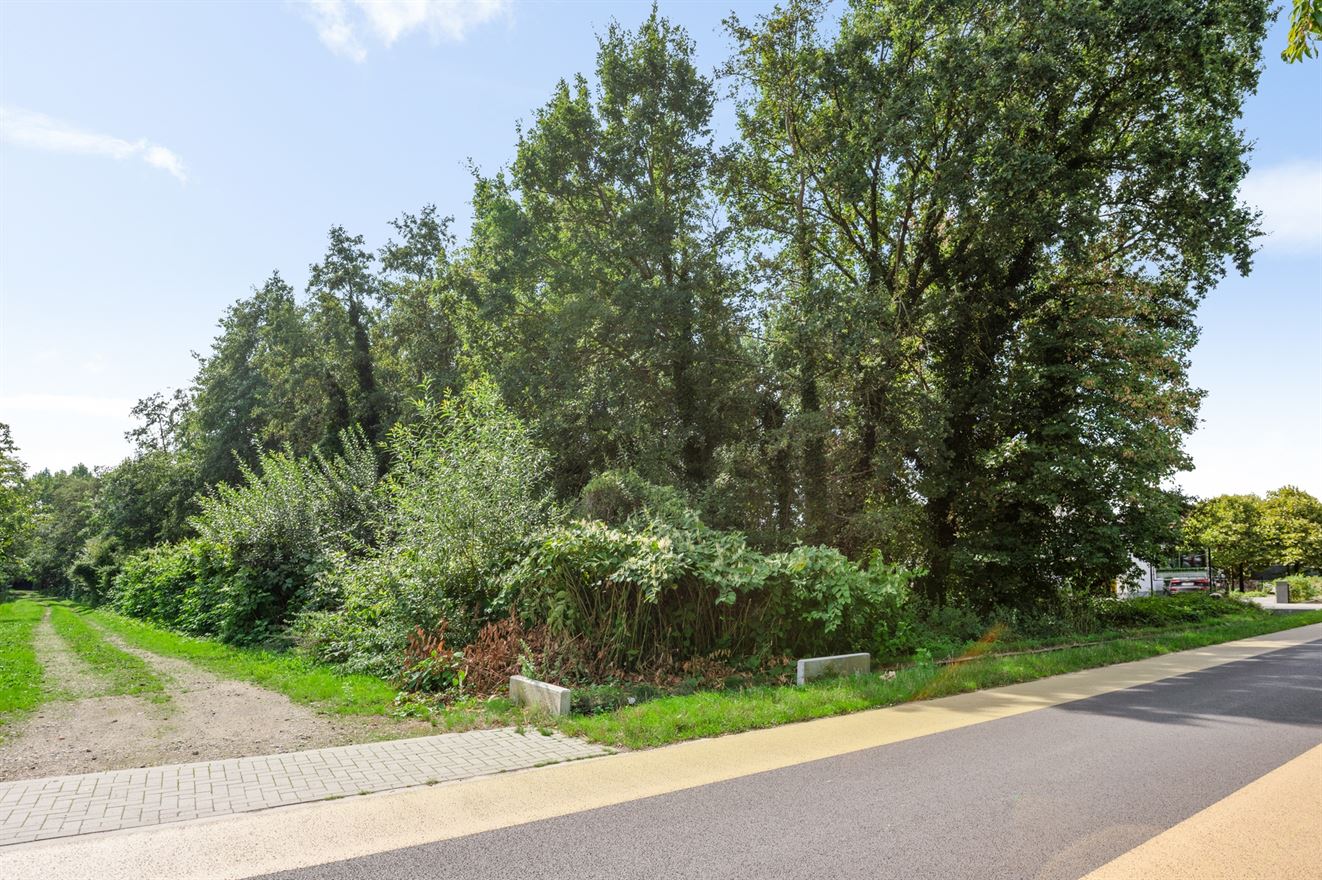 Foto 2 van een woning in Balen